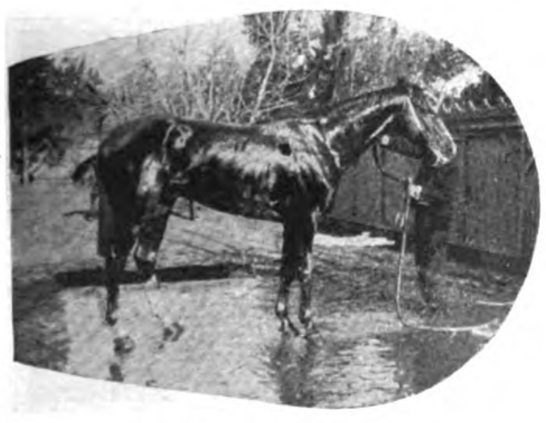 File:Baño despues de carrera.png