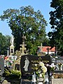 Restored Memorial & Graves III