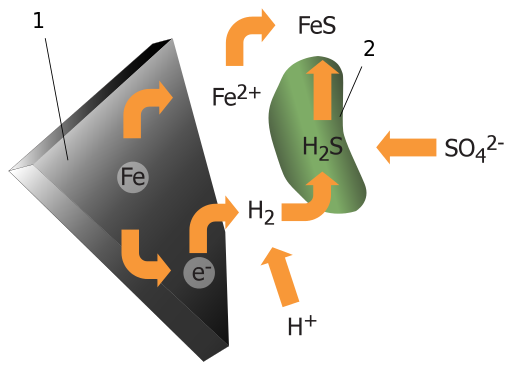 File:Bacterial Anaerobic Corrosion numbered.svg