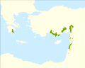 Juniperus drupacea