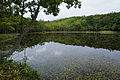 Lake Goko 五湖（知床五湖）