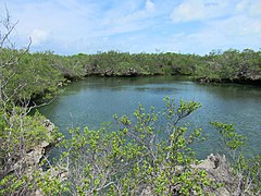 Aldabra Lagoon (32874699360).jpg