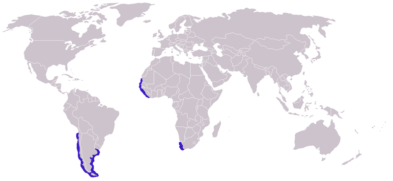 File:Phalaropus fulicarius distribution 2.png