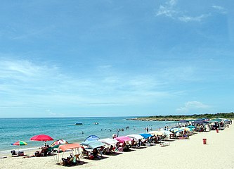 w:es:Playa Punta Arenas