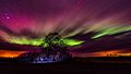 * Nomination Aurora Borealis in Estonia. By User:KristianPikner ... Kruusamägi 20:25, 23 June 2018 (UTC) * Promotion Talk to me about the star trails. Is this degree of trailiness inevitable because of the 280-second exposure? -- Ikan Kekek 09:11, 25 June 2018 (UTC) About 30 sec might be the max, that is possible without leaving the trails. Kruusamägi 17:14, 25 June 2018 (UTC)  Comment - Thanks for your answer. I don't really feel qualified to judge this photo. Please, anyone else, have a look. -- Ikan Kekek 03:26, 26 June 2018 (UTC)  Support @Ikan Kekek: Yes, the star trails are inevitable, a 20-second exposure time already forms considerable trailing if you pixel peek, 280 seconds is a lot more. Overall, a good picture. GerifalteDelSabana 05:23, 29 June 2018 (UTC)