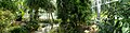 Deutsch: Panorama des Savannenhauses des Botanischen Gartens Bochum. English: Panoramic of the savannah greenhouse of the Bochum botanical garden.