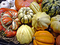 Various squashes