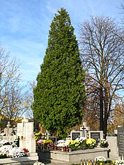 Marki Cemetery, Poland