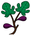 Two figs on branch.svg