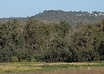 Thumbnail for File:Gooseberry Hill from Bushmead.JPG