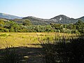 Guzzano:Landscape