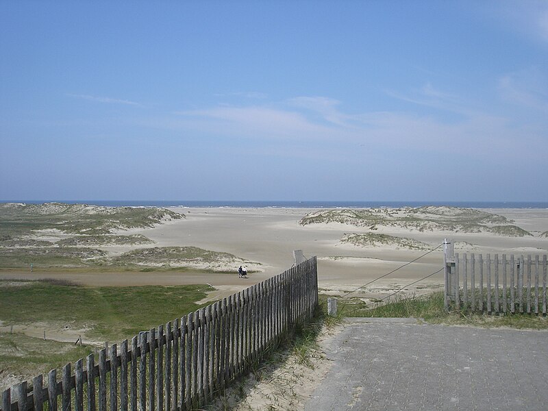 File:Aussichtsdüne Norderney.jpg