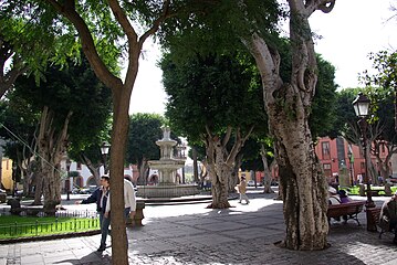 Plaza del Adelantado