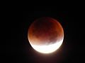 Deutsch: „Ernteblutmond“ am 28. September 2015 über Bochum. English: Lunar eclipse over Bochum, Germany; 28 Sep 2015.   This file was uploaded with Commonist.