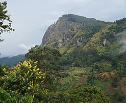 Le Mini pic d' Adam. Ella.- Sri Lanka.- Asie du Sud