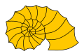 Spiky ammonite shell.svg