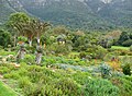 View from the aloe garden