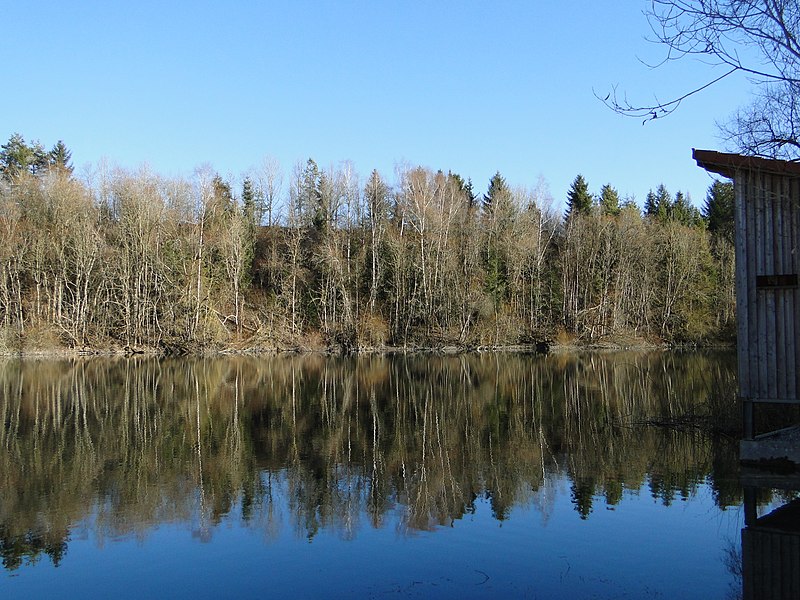 File:Baggersee NSG Kiesgrube Aitrach 1.JPG