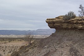 Chihuahuan Desert