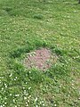 Čeština: Čarodějné kruhy, Lublaňská ulice. Praha, Česká republika. English: Fairy rings in Lublaňská Street, Prague, Czech Republic.