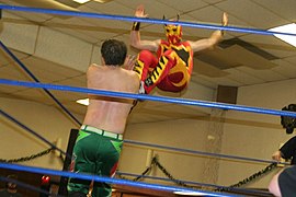 Fire Ant's missile dropkick.jpg