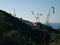 Montale, Levanto, Liguria, Italia