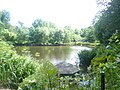 Le parc botanique du Proërop ("Les Arbres du monde") 1.