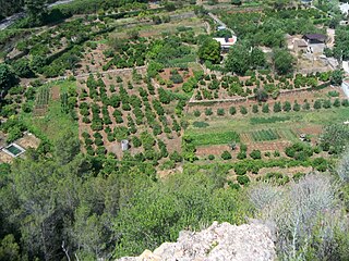 Vista de el Clot des del Castell de Tales.