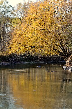 Don River, Toronto