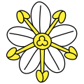 Fleur de sureau 2.svg