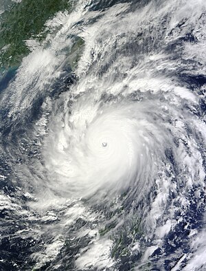 Typhoon Megi in 2010