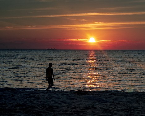 Man walking on beach