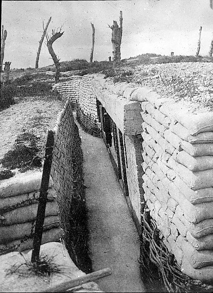 File:Old trenches of nieuport (34887613871).jpg