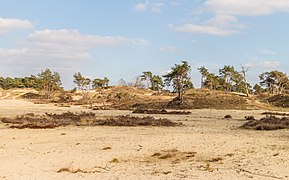 Walk across the Hulshorsterzand