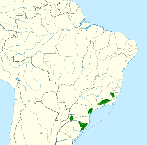 File:Amazona vinacea map.svg