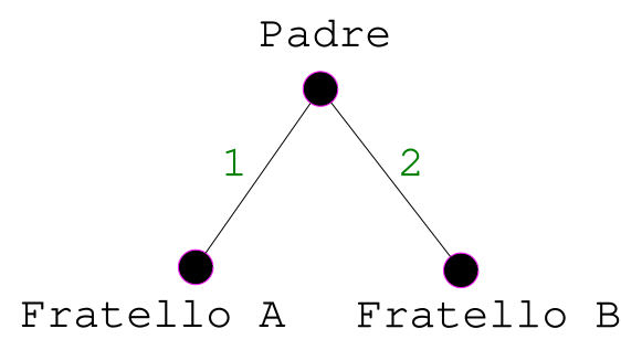 File:Grado parentela fratelli.svg