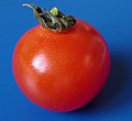 Tomatenfrucht mit Microrissen / fruit with micro cracking