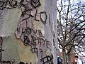 Graffiti carved in a tree