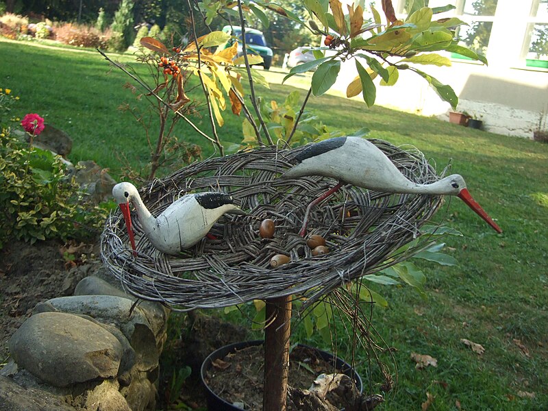 File:Bolekhiv Arboretum 008.JPG