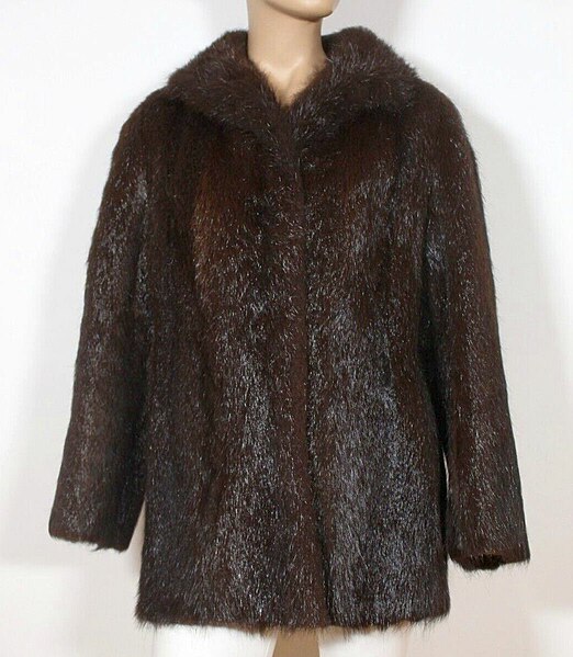 File:Spitznutria-Jacke (1).jpg