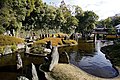 Shofuen of Matsuo Taisha / 松尾大社の松風苑