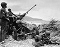 Bofors gun in at position on a mound overlooking the beach in Algeria, 1943.