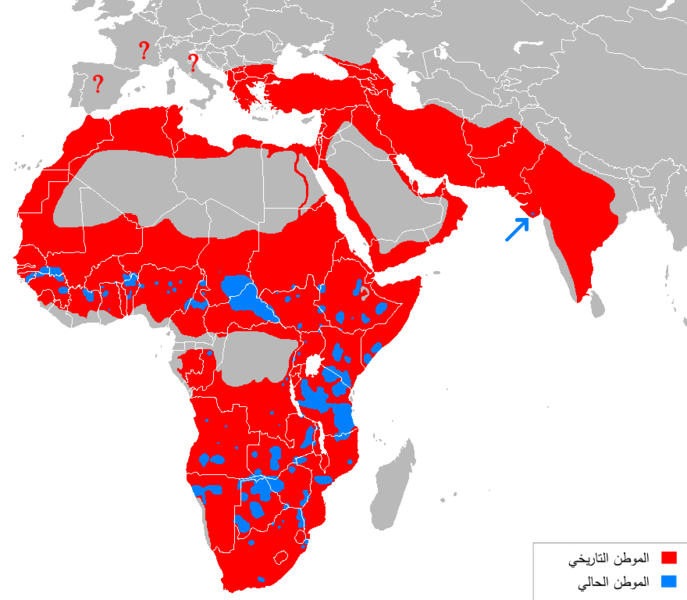 File:Lion distribution-ar.png