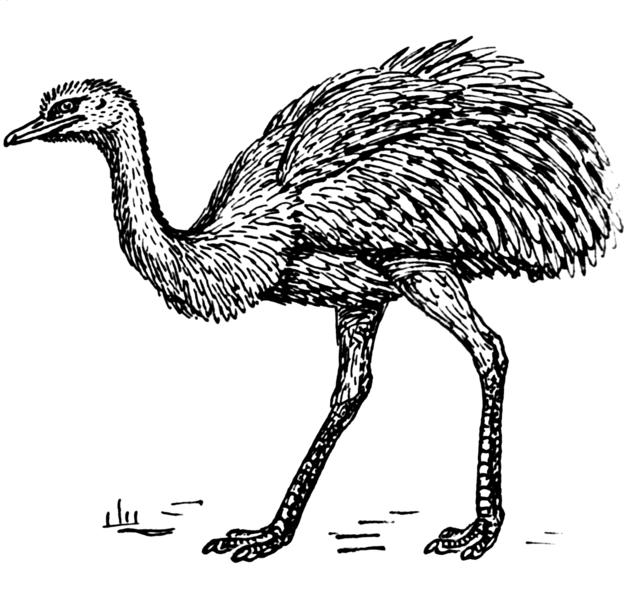 File:Rhea (PSF).png