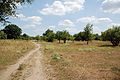 Deutsch: Weg durch Magerrasen English: Path through neglected grassland