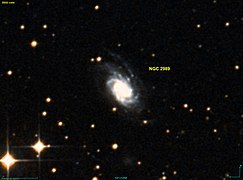 NGC 2989 DSS.jpg