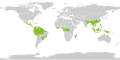 Tropical and subtropical moist broadleaf forests (Source: UNEP-GRID)