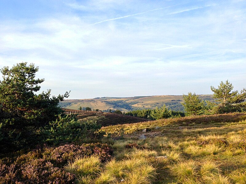 File:Les Hautes-Chaumes (Livradois-Forez).jpg