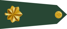 File:US Army O4 shoulderboard rotated.svg