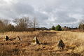 * Nomination Anti-tank dragon's teeth in former military area, Czech Republic. Image by Richenza, nominated by --Chmee2 16:29, 14 January 2012 (UTC) * Promotion QI for me. --Aleks G 23:45, 14 January 2012 (UTC)